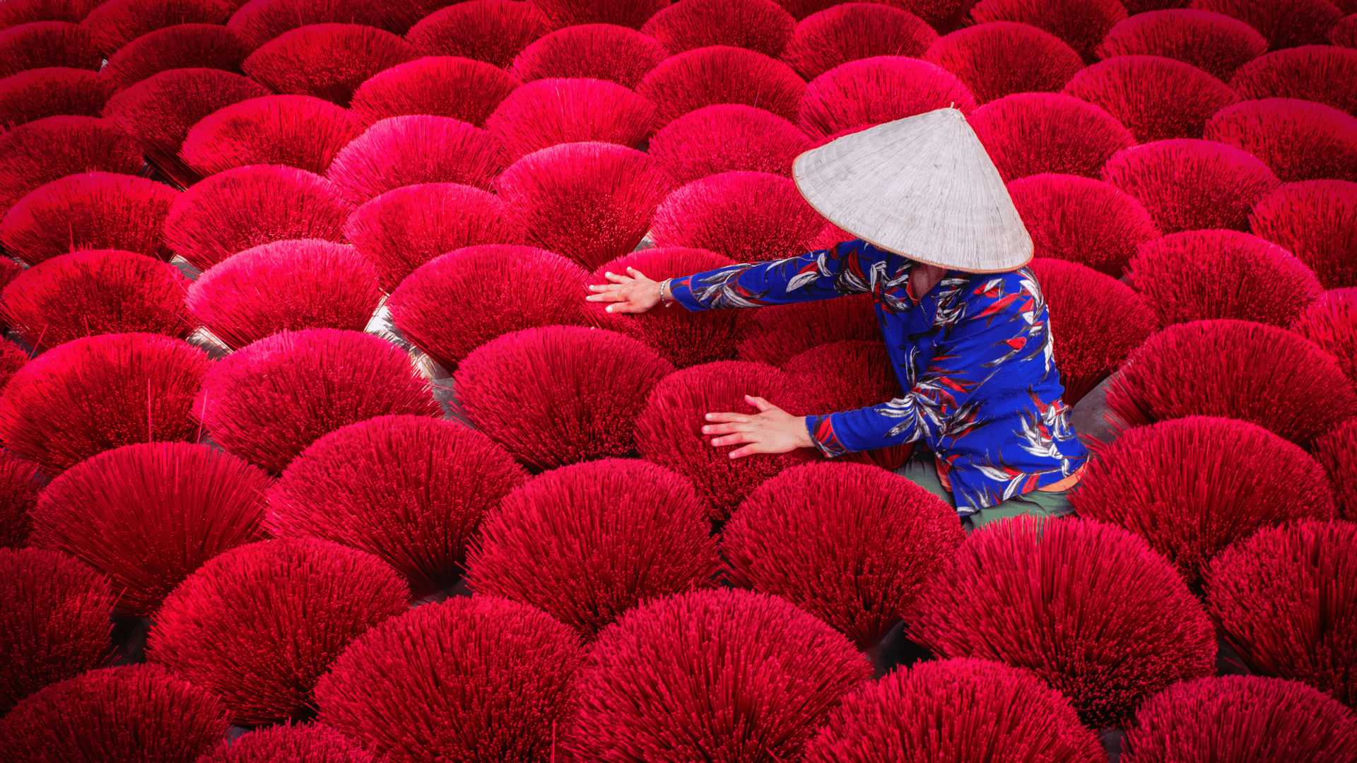 Incense sticks drying Vietnam