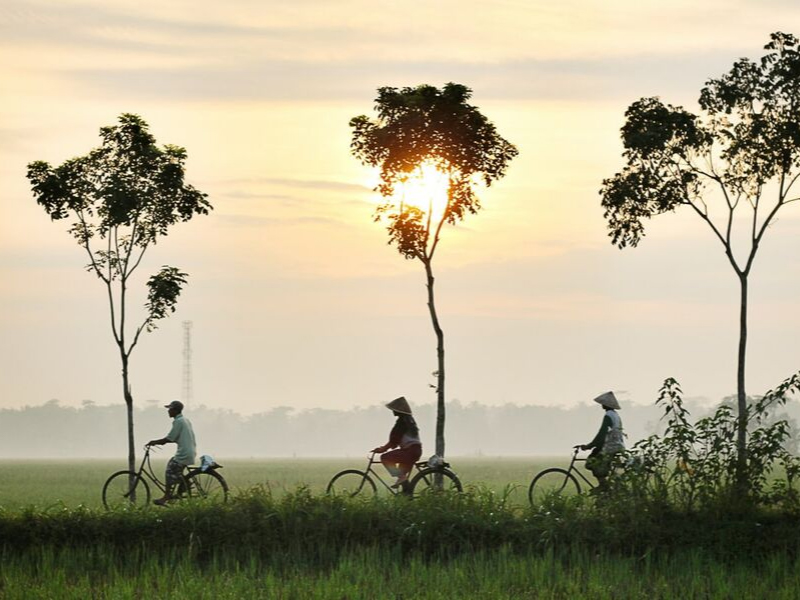 Cycling tour in rural Hoi An - OROKO Travel