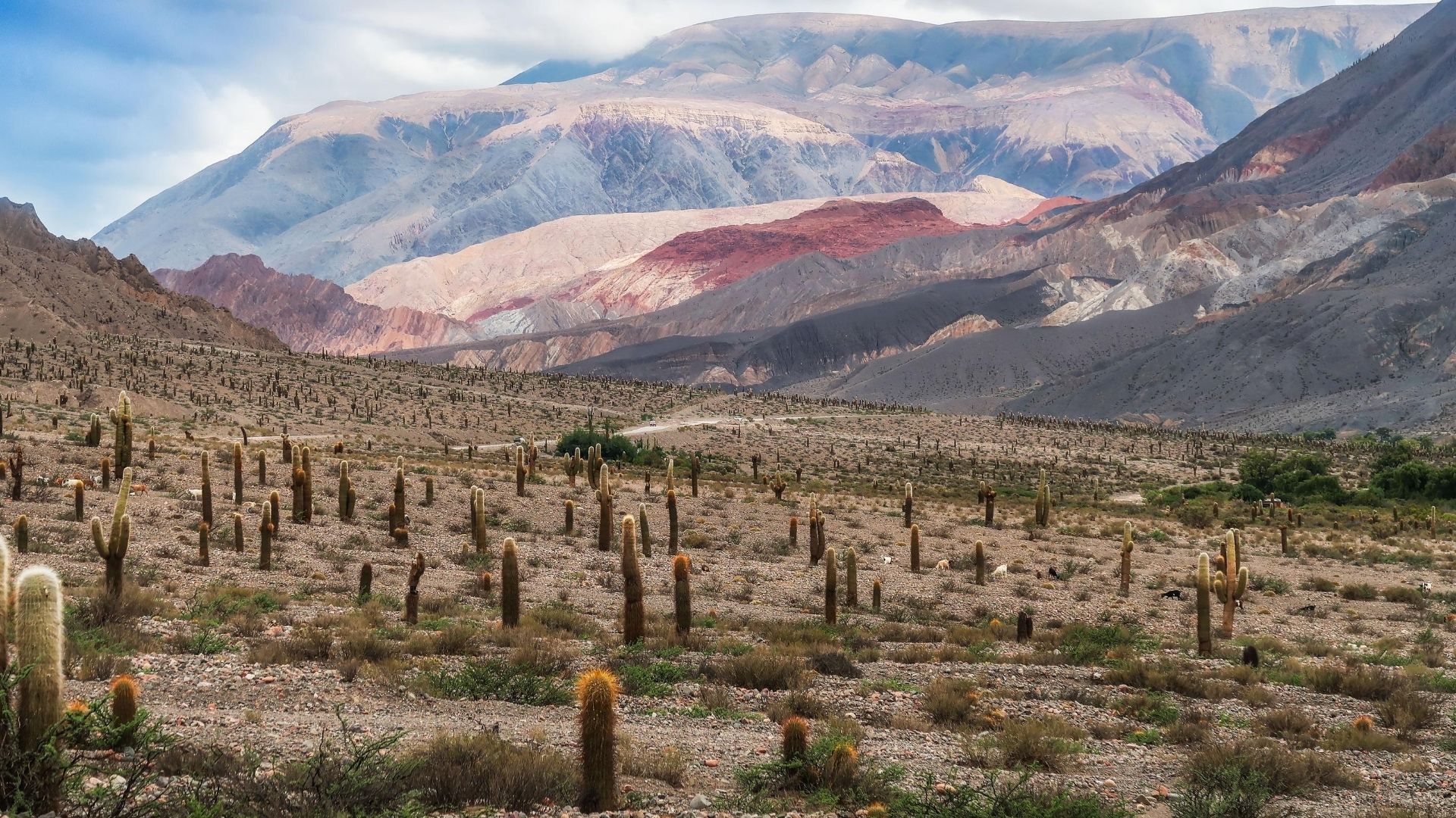 Luxury Holidays to Northern Argentina & Chile | orokotravel.ie